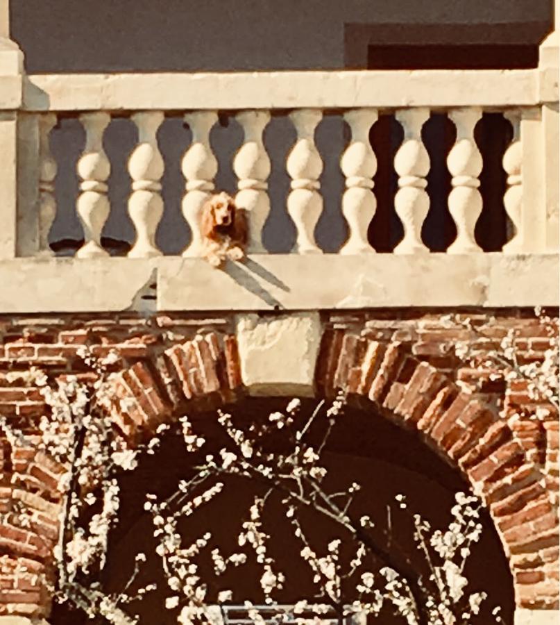 Relais Villa Gozzi B&B Arcugnano Dış mekan fotoğraf